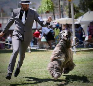 Picture of Samauc's Profile