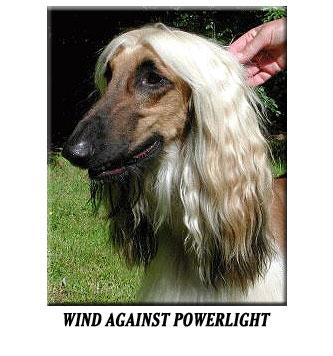 Image of Wind Against Power Light