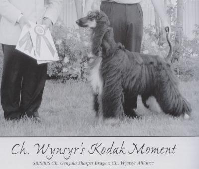 Image of Wynsyr's Kodak Moment