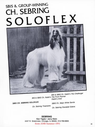 Image of Sebring Soloflex