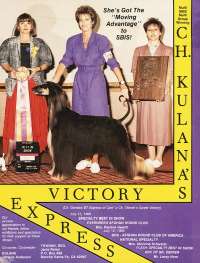 Image of Kulana's Victory Express