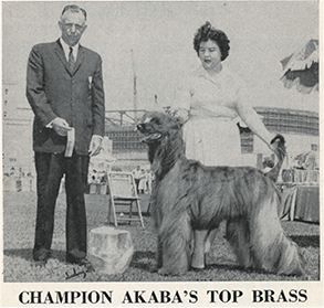 Image of Akaba's Top Brass