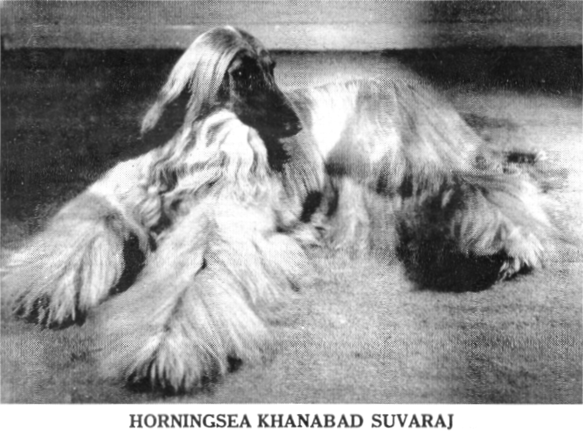 Image of Horningsea Khanabad Suvaraj
