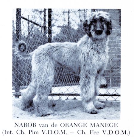 Image of Nabob van de Oranje Manege