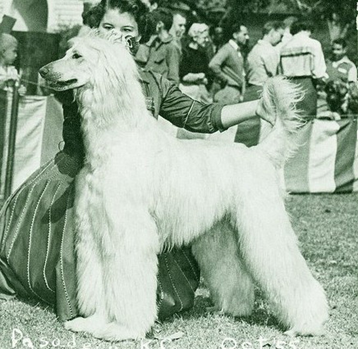 Image of Abez