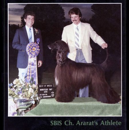 Image of Ararat's Athlete