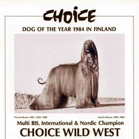 Image of Choice Wild West