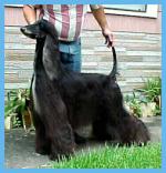 Thumbnail of Alloy's Caralampio