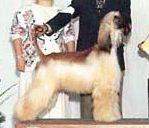 Thumbnail of Alphaville's She's Crimson Kimono