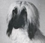 Thumbnail of Berrot's Karebare Kalarama