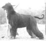 Thumbnail of Calahorra Anglo Saxon