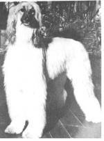 Thumbnail of Delhi Downs Bathseri