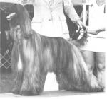 Thumbnail of Dynasty's Marked Card