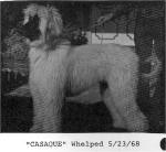 Thumbnail of El Sayyad Casaque