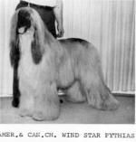 Thumbnail of Wind Star Pythias