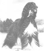 Thumbnail of Unjan's Kazzandra