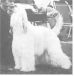 Thumbnail of Unjan's Chiba