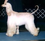 Thumbnail of Jendar Diamonds Are For Ever