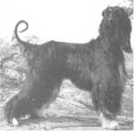 Thumbnail of Tuohi-Tikan Valssi