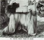 Thumbnail of Tarina Brass Charm Of Akaba