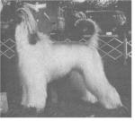 Thumbnail of Karamoor's Karogue Of O'Havoc