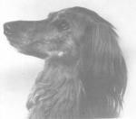 Thumbnail of Khasru Kili Khan