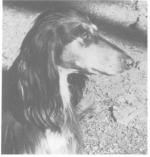 Thumbnail of Khasru Kuibaba