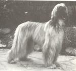 Thumbnail of Kirman Kupari