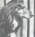 Thumbnail of Kohistan Faida