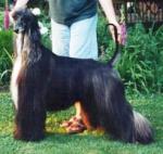 Thumbnail of Triplicity's Nina Simone