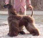 Thumbnail of Andros Conquistador