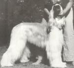 Thumbnail of Tash Kurgan Gallica