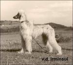 Thumbnail of Atri von der Irminsul