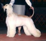 Thumbnail of Majestic Yentyl