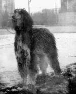 Thumbnail of Sandra of Rock Run