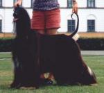 Thumbnail of Sagoslottets Candyman