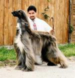 Thumbnail of Saimoon Ben Taylor