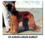 Thumbnail of Karkati's Almanza Khaifa