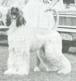 Thumbnail of Longlesson Hannibal