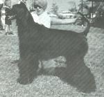 Thumbnail of Holly Hill War Hawk