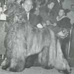 Thumbnail of Samar Czar Chan D'Lear