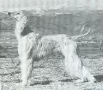Thumbnail of Sheelah of Shalako