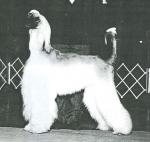 Thumbnail of Tajmir Amir Khan Of Bombey