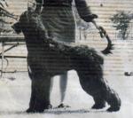 Thumbnail of Kahlua of Rampura