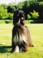 Thumbnail of Serra Parecis Darkness Before Dawn