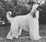 Thumbnail of Hullabaloo's Ballyhoo