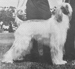 Thumbnail of Hullabaloo's Tiger Rag