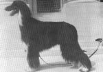 Thumbnail of Summerwine's Cuba Libra