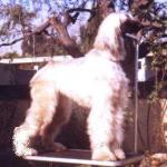 Thumbnail of ZoSo's Physical Graffiti