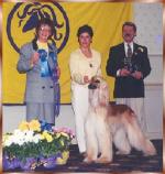 Thumbnail of Meadowgrove's Aseraphim Elite